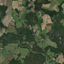 Satelita