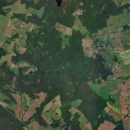 Satelita