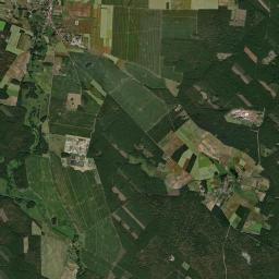 Satelita