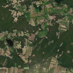 Satelita