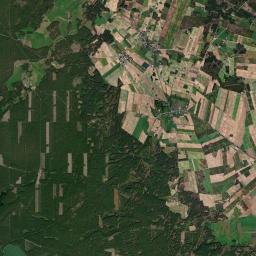Satelita