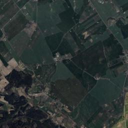Satelita
