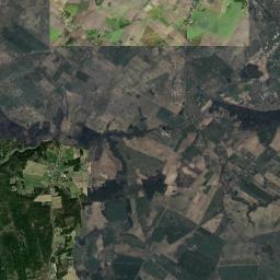 Satelita