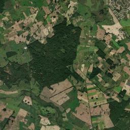 Satelita