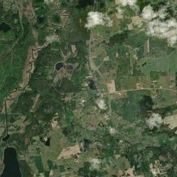 Satelita