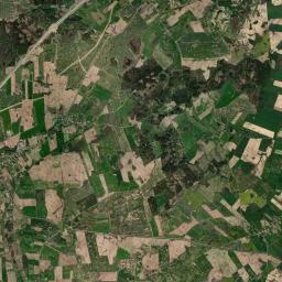 Satelita