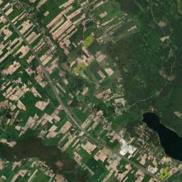 Satelita