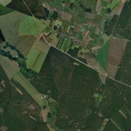 Satelita