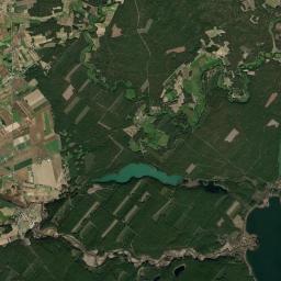 Satelita