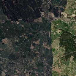 Satelita