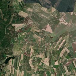 Satelita