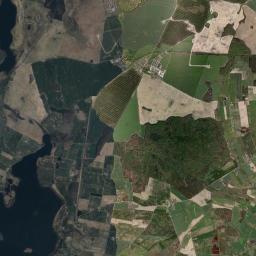 Satelita