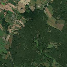 Satelita
