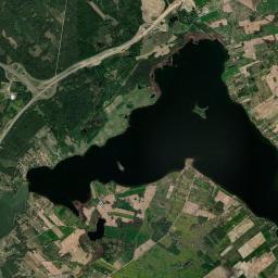 Satelita