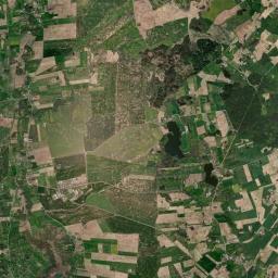 Satelita