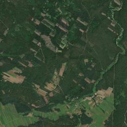 Satelita