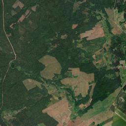 Satelita