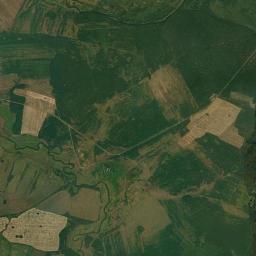 Rognedinskiy Rayon Satellite Map