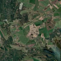 Satelita