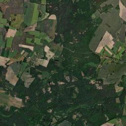 Satelita
