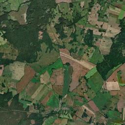Satelita