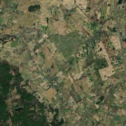 Satelita