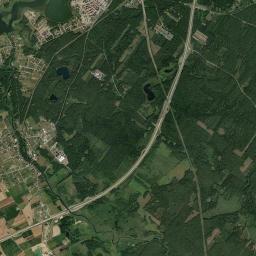 Satelita