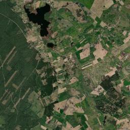 Satelita