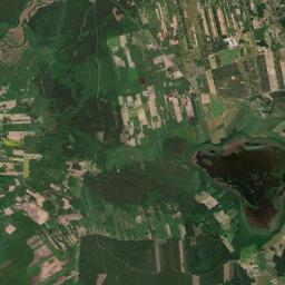 Satelita