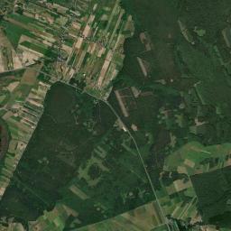 Satelita