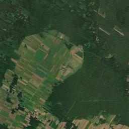 Satelita