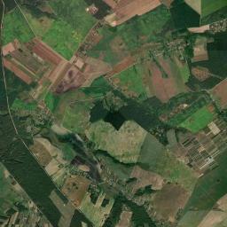 Satelita