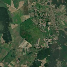 Satelita