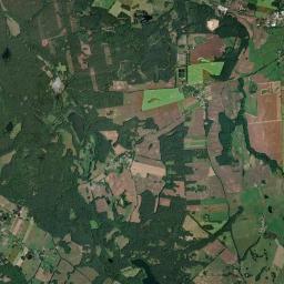 Satelita