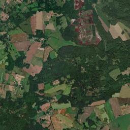 Satelita