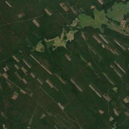 Satelita