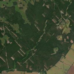 Satelita