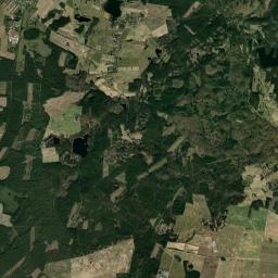 Satelita