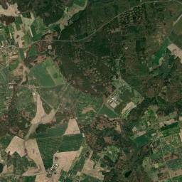 Satelita