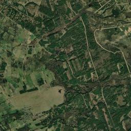 Satelita