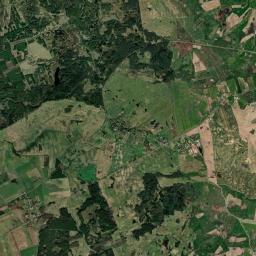 Satelita