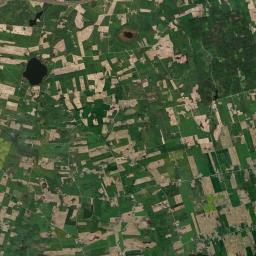 Satelita
