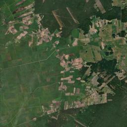 Satelita