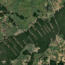 Satelita