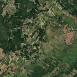 Satelita