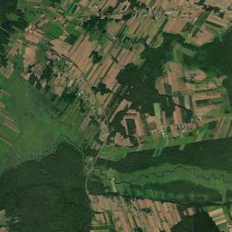 Satelita