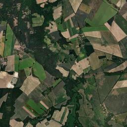 Satelita