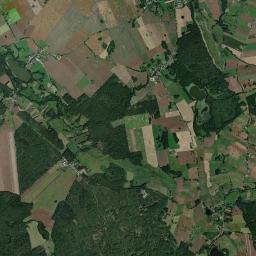 Satelita