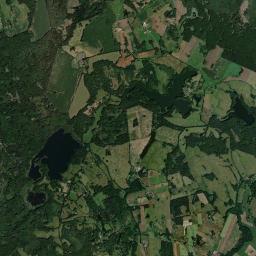 Satelita