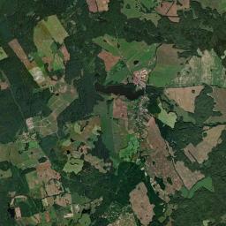 Satelita